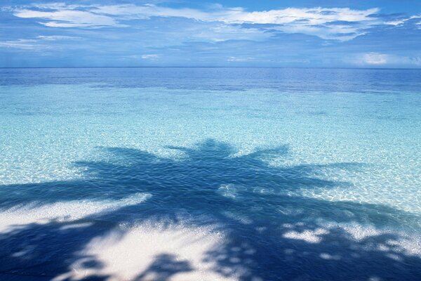 Blauer Schatten einer Palme am Wasserhorizont