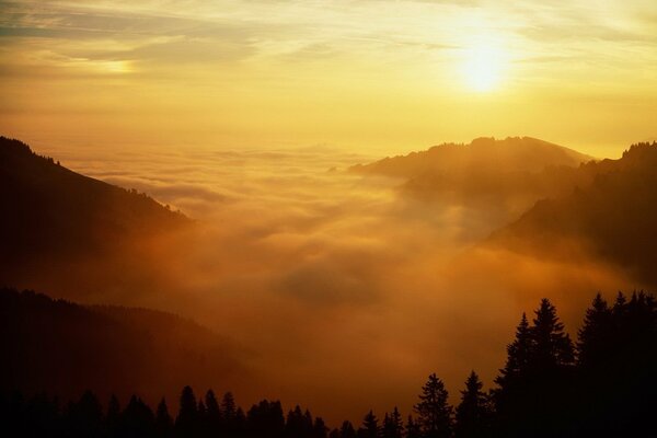 View from the mountains, fog and sun