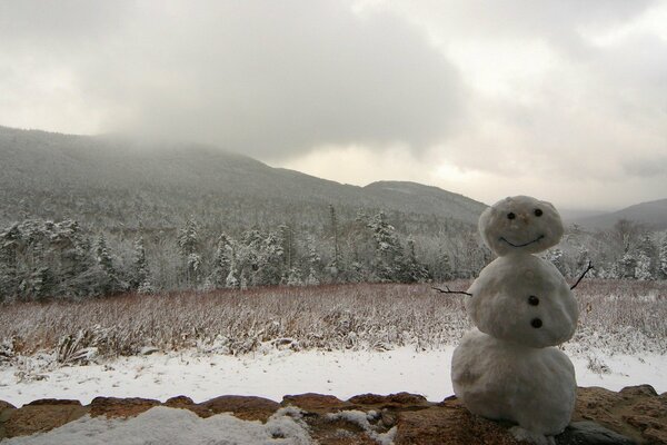 A small snowman on a background of snow-covered trees