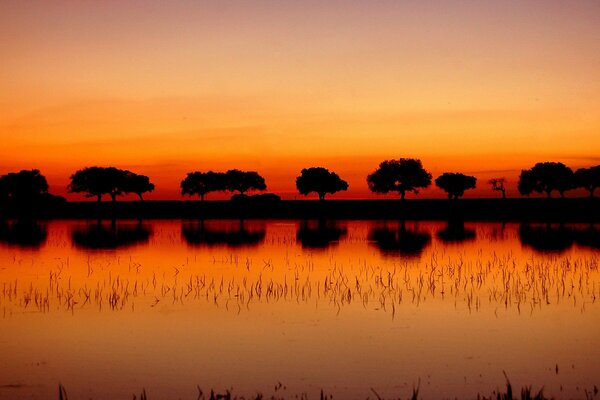 Orange sunset and lake