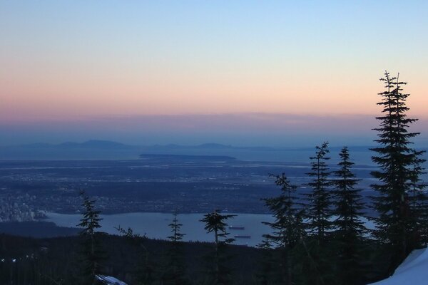 Lonely fir trees on the background of beautiful clouds