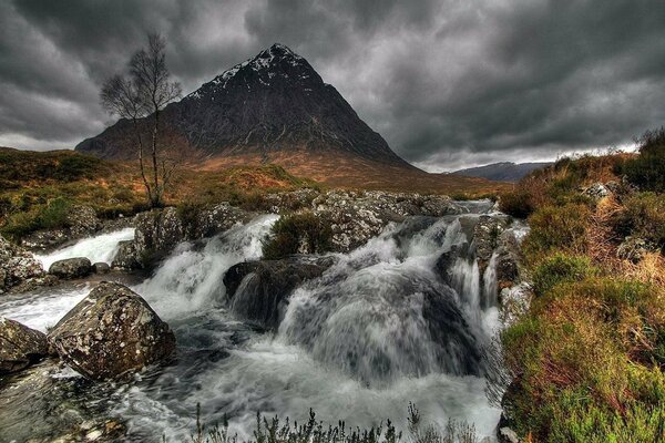 Grass and trees grow on the waterfall