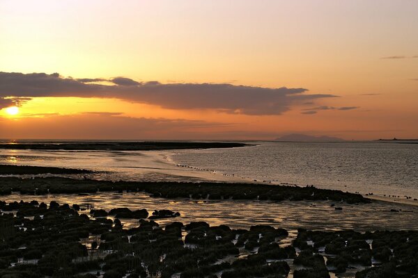 The rising sun on the lake shore