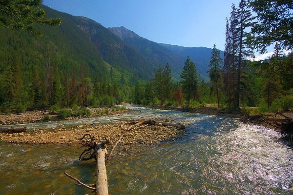 Río de montaña. Naturaleza fresca