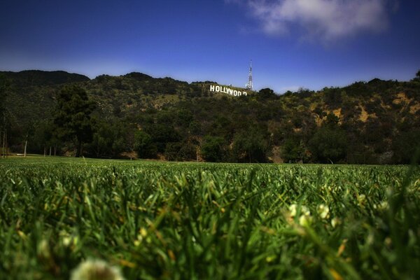 Parco giochi con prato verde di fronte alle colline con la scritta Hollywood