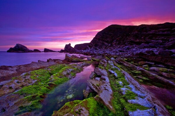 Green moss on coastal rocks