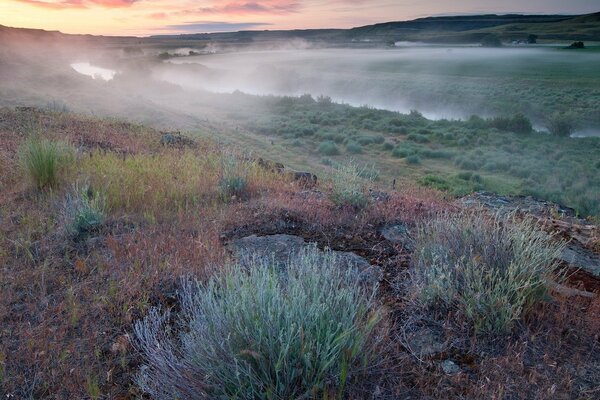 Fog clouds at dawn of the day