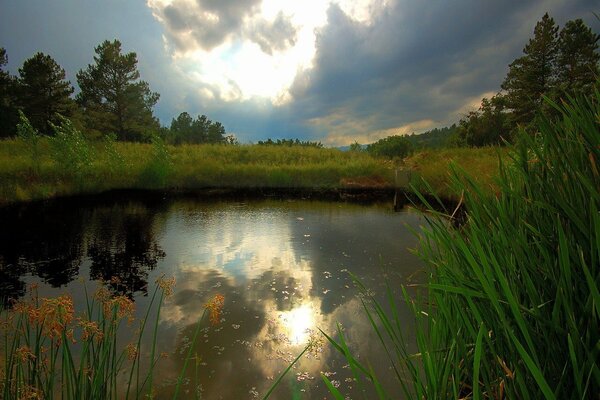 Reflection of the sun in a lake surrounded by dark green grass