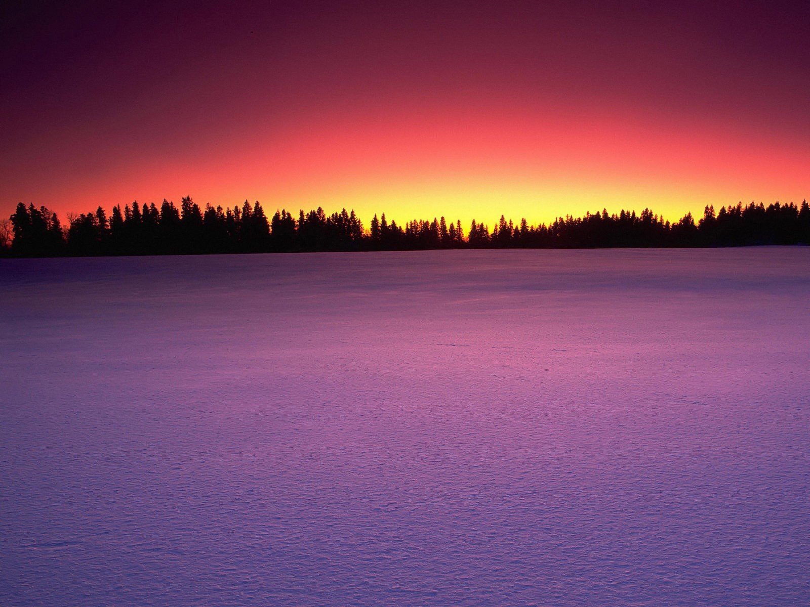 nieve puesta de sol árboles