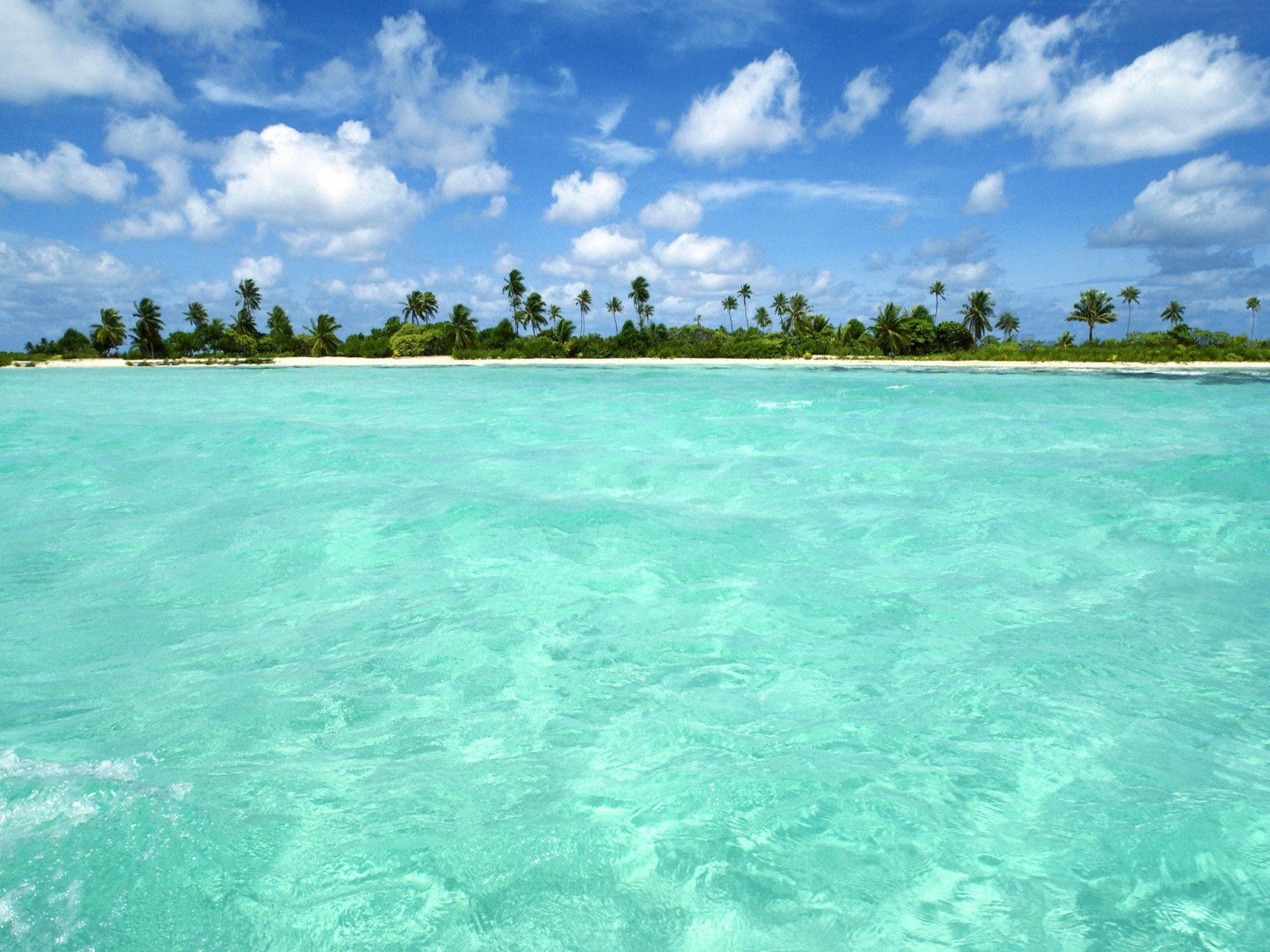 paesaggio mare sabbia palme