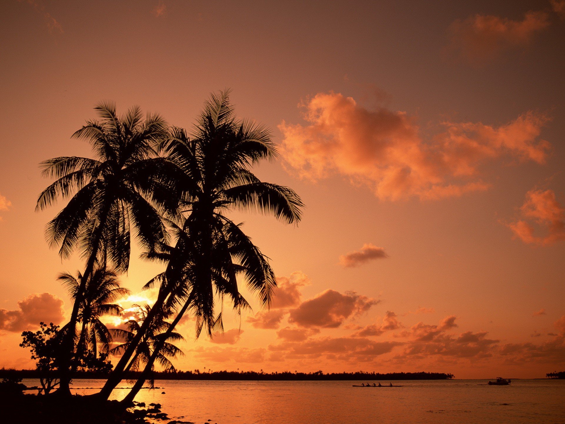 palmen urlaub sonnenuntergang