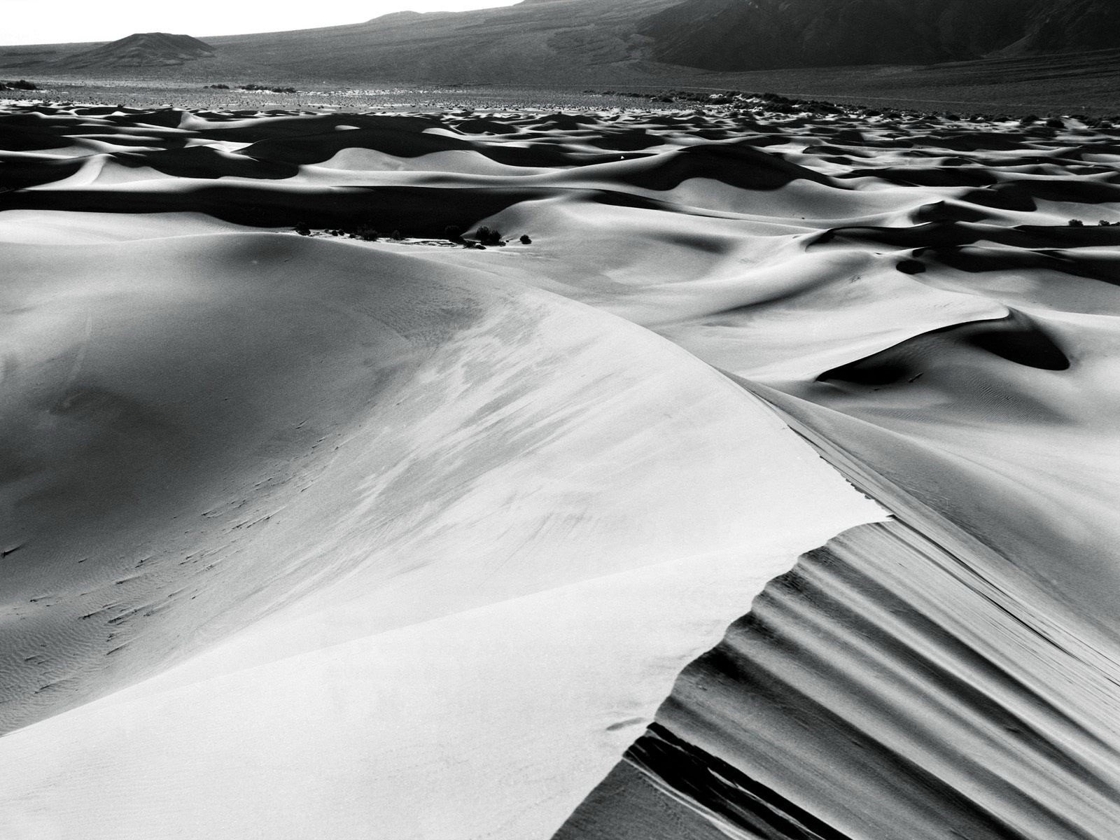 schwarz weiß sand wüste