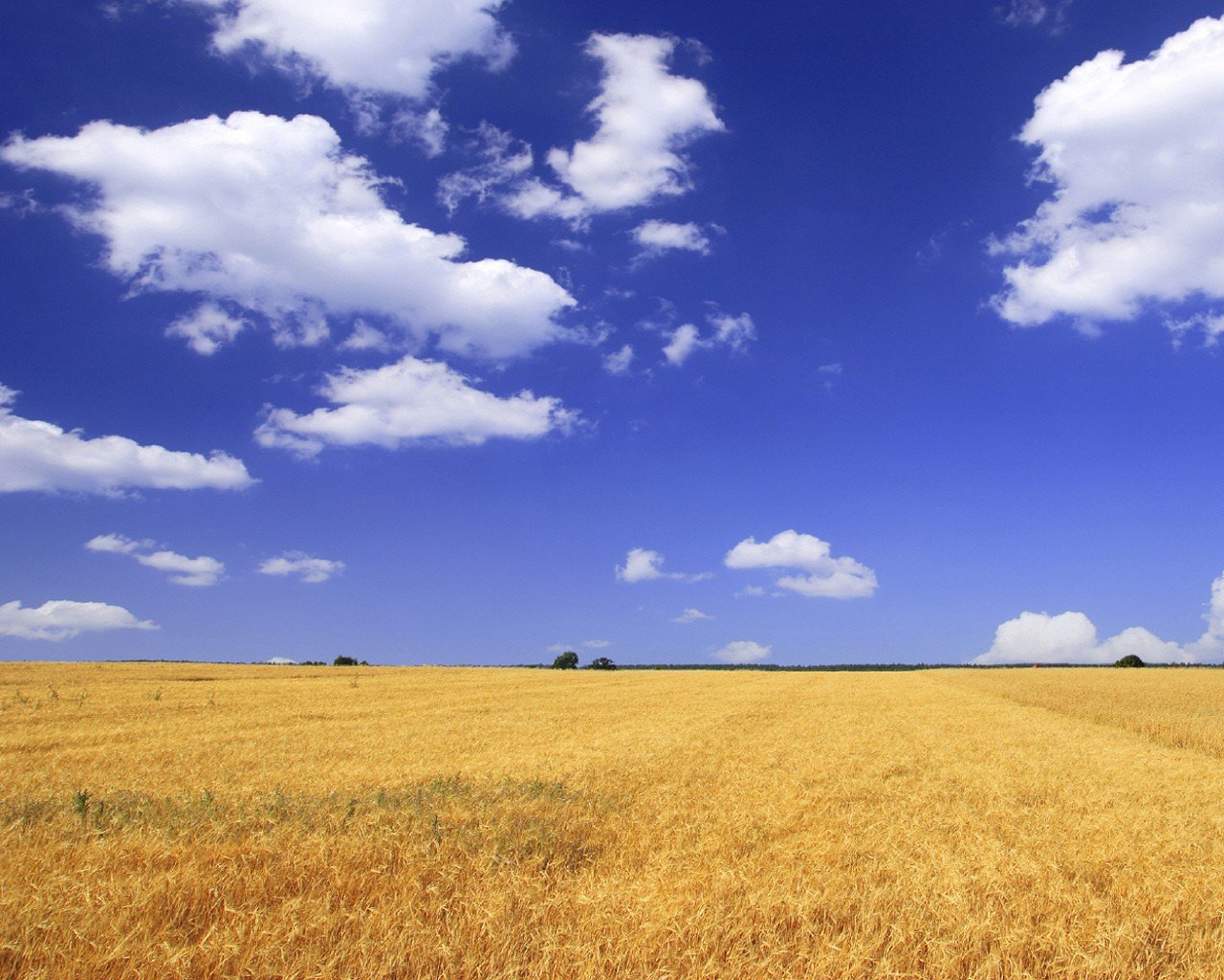 campo cielo nuvole