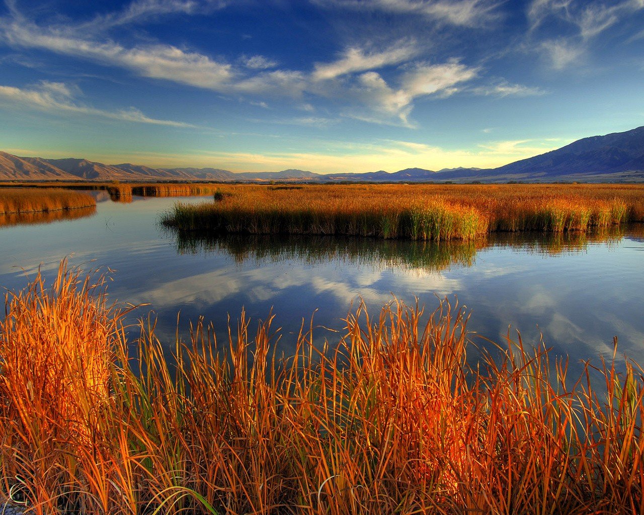 grass lake cloud