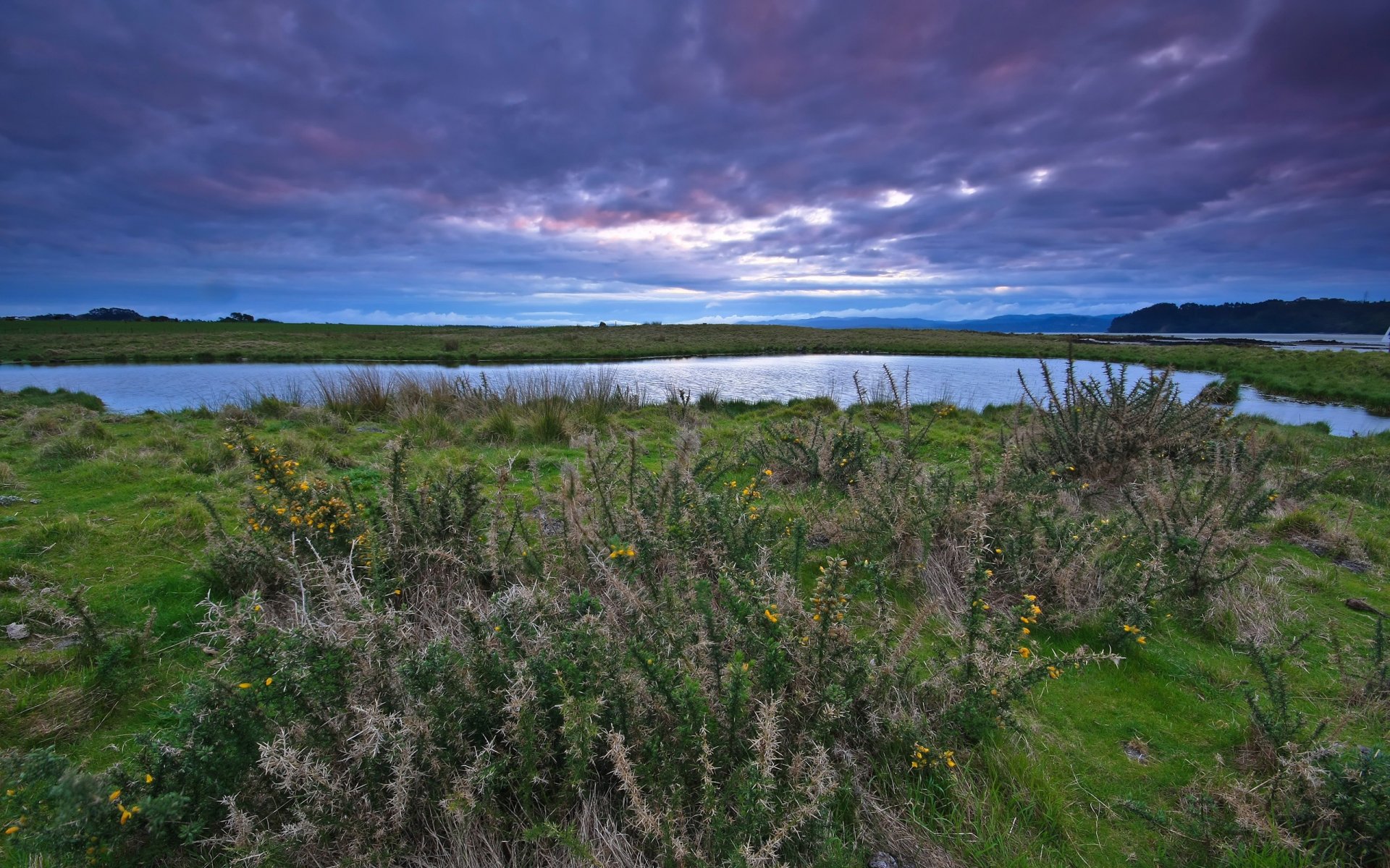 lago espinas nubes