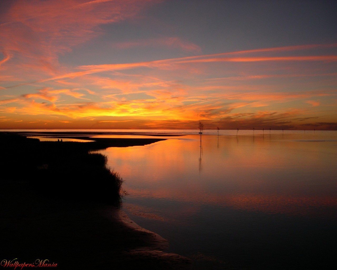 lago luz noche