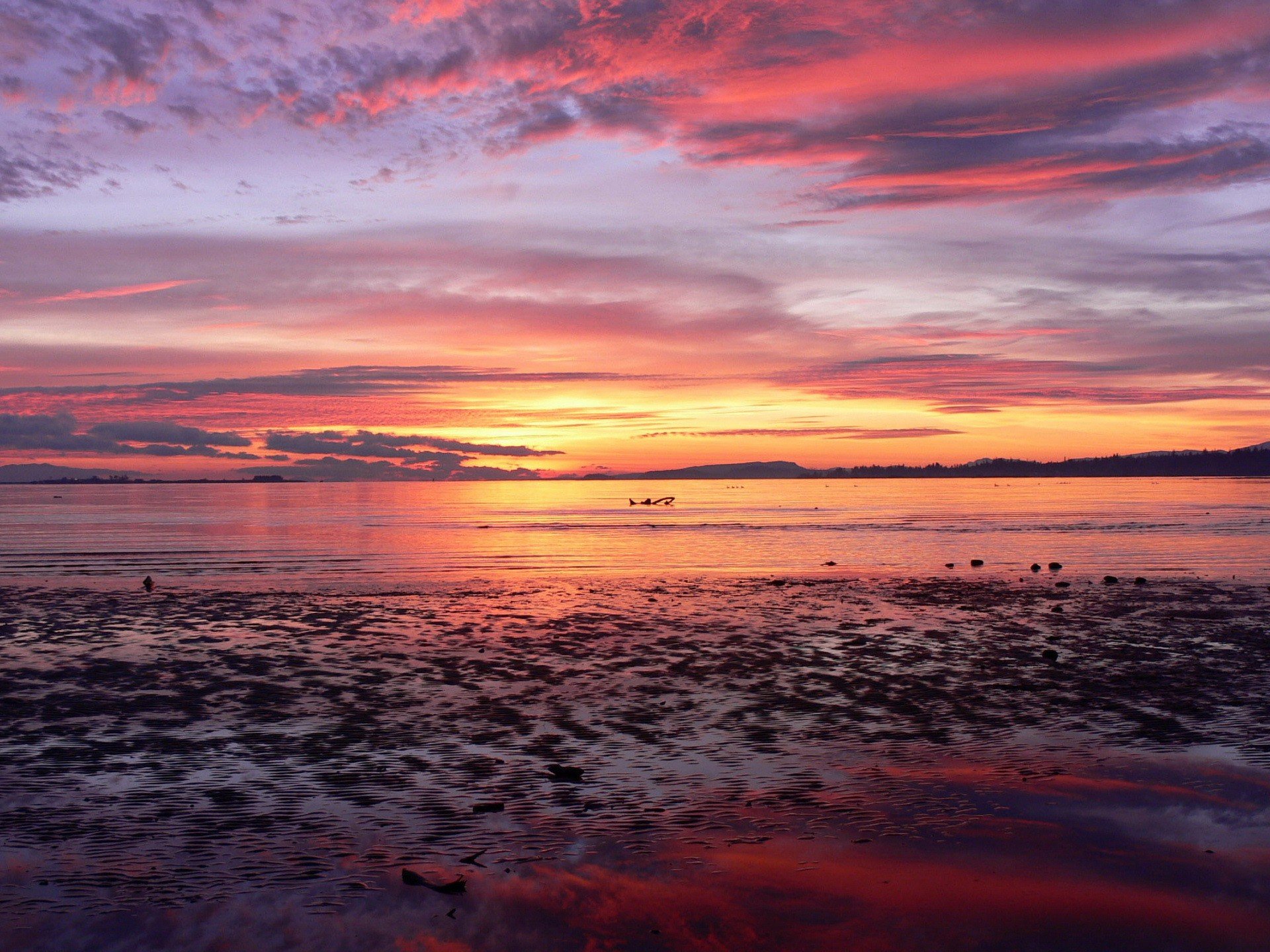 unset sea horizon