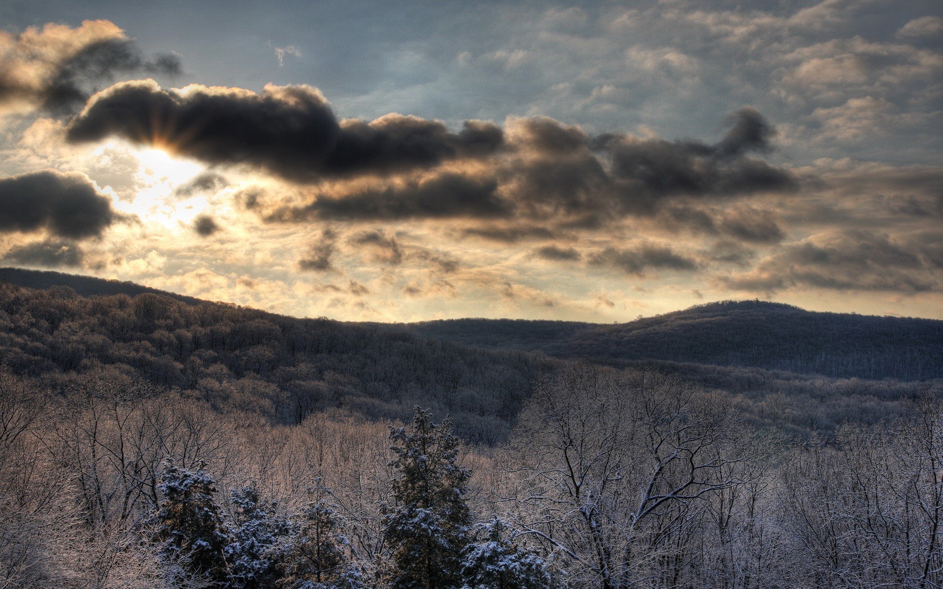 ciel forêt soleil hiver