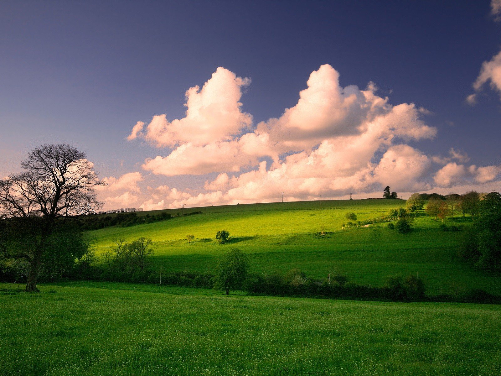 primavera prados nubes