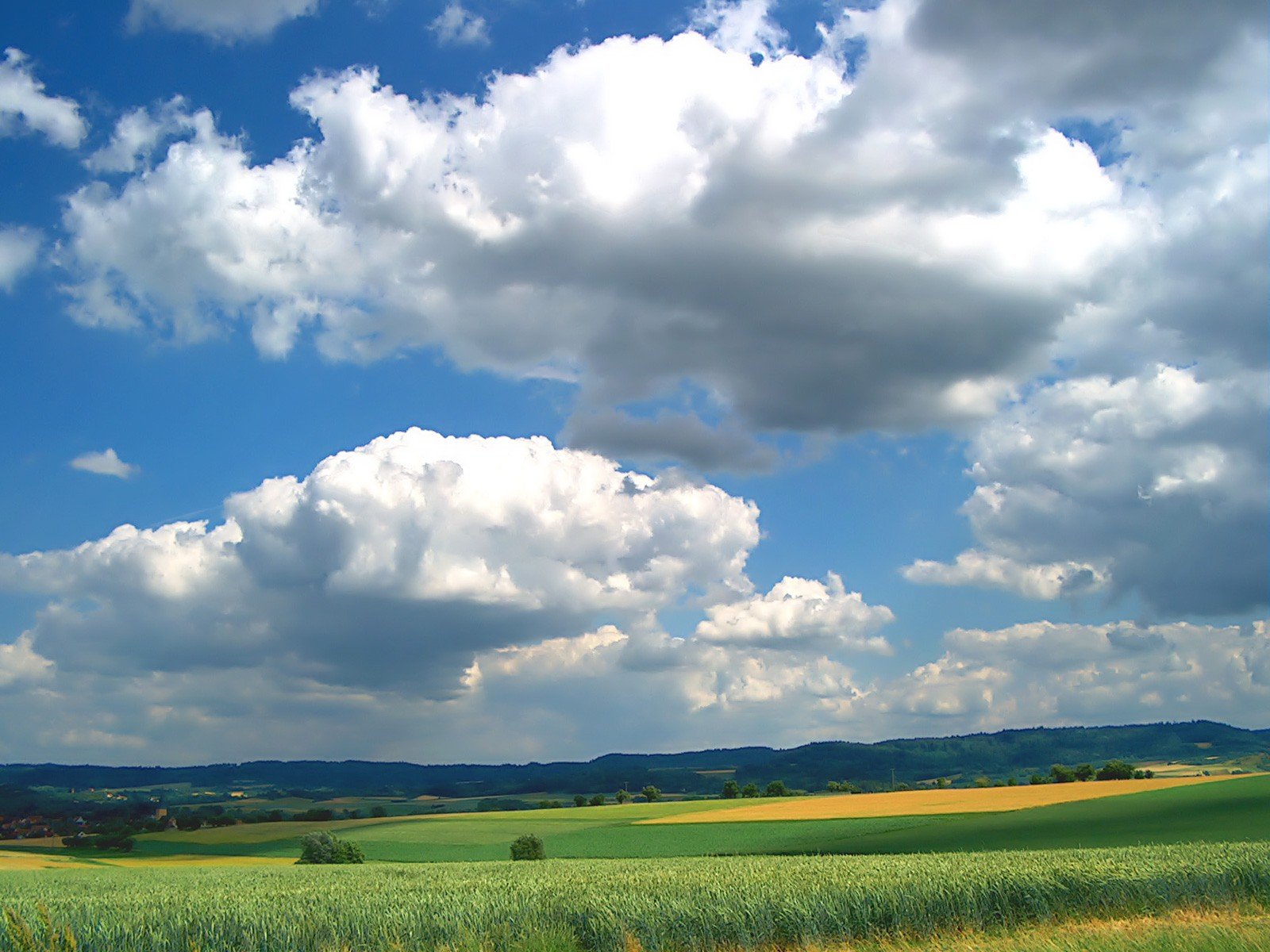 clouds the field green