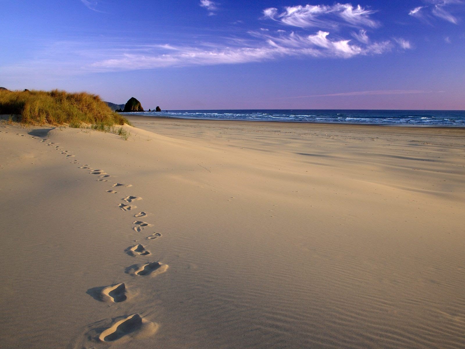 spuren sand küste meer