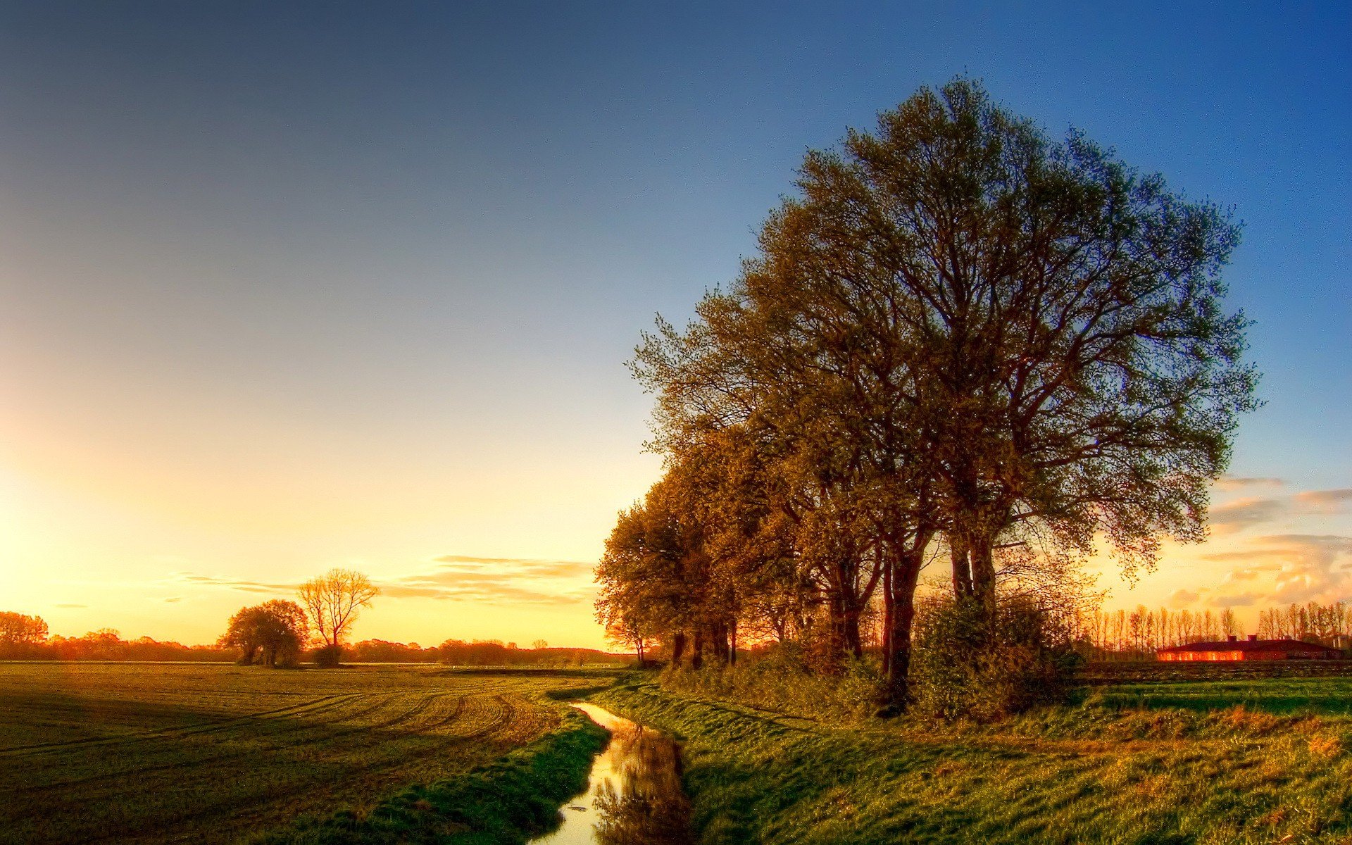 himmel bäume feld