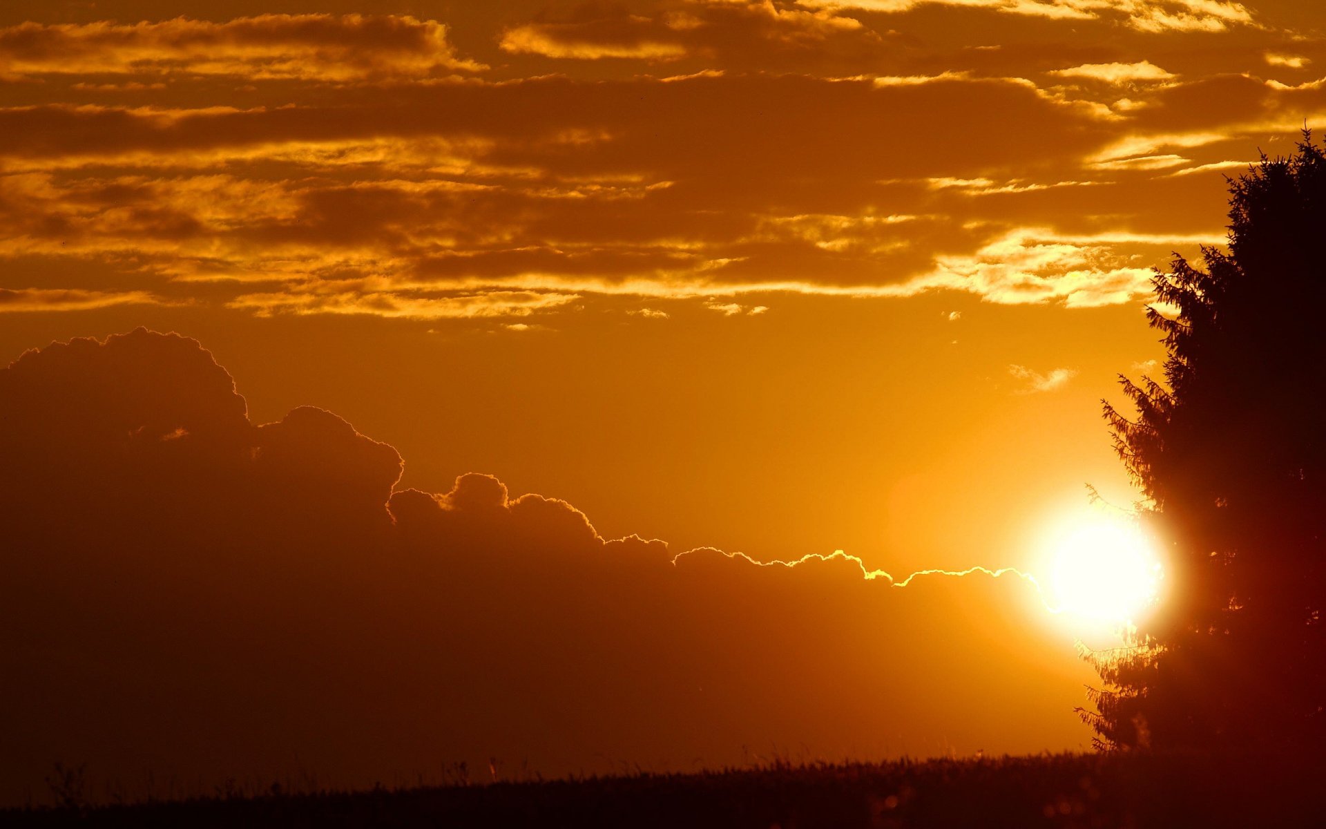 sonnenuntergang bäume wolken himmel