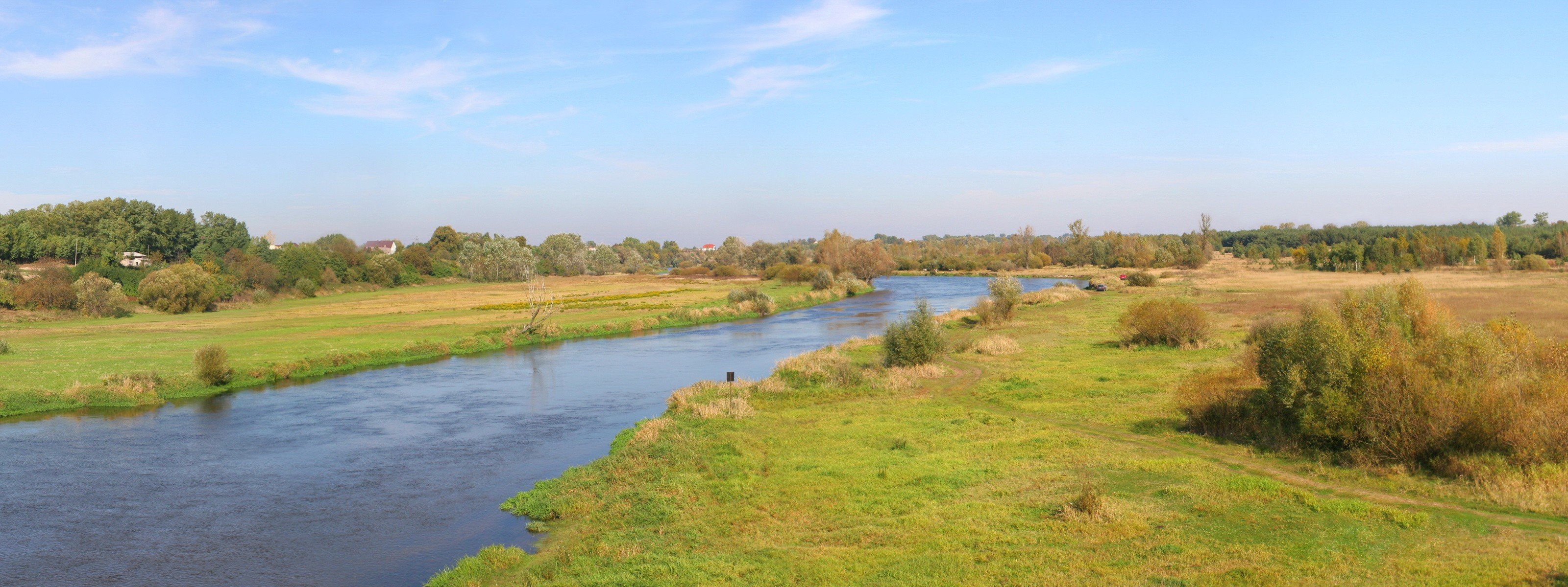 camino río árboles