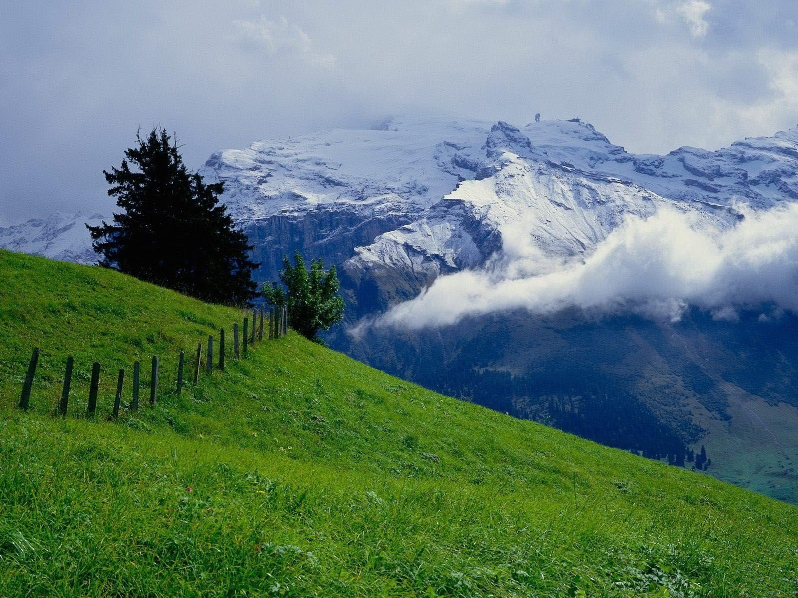 mountain green meadow sky