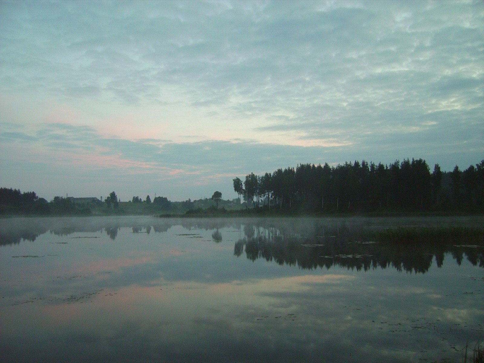 lake tree necher