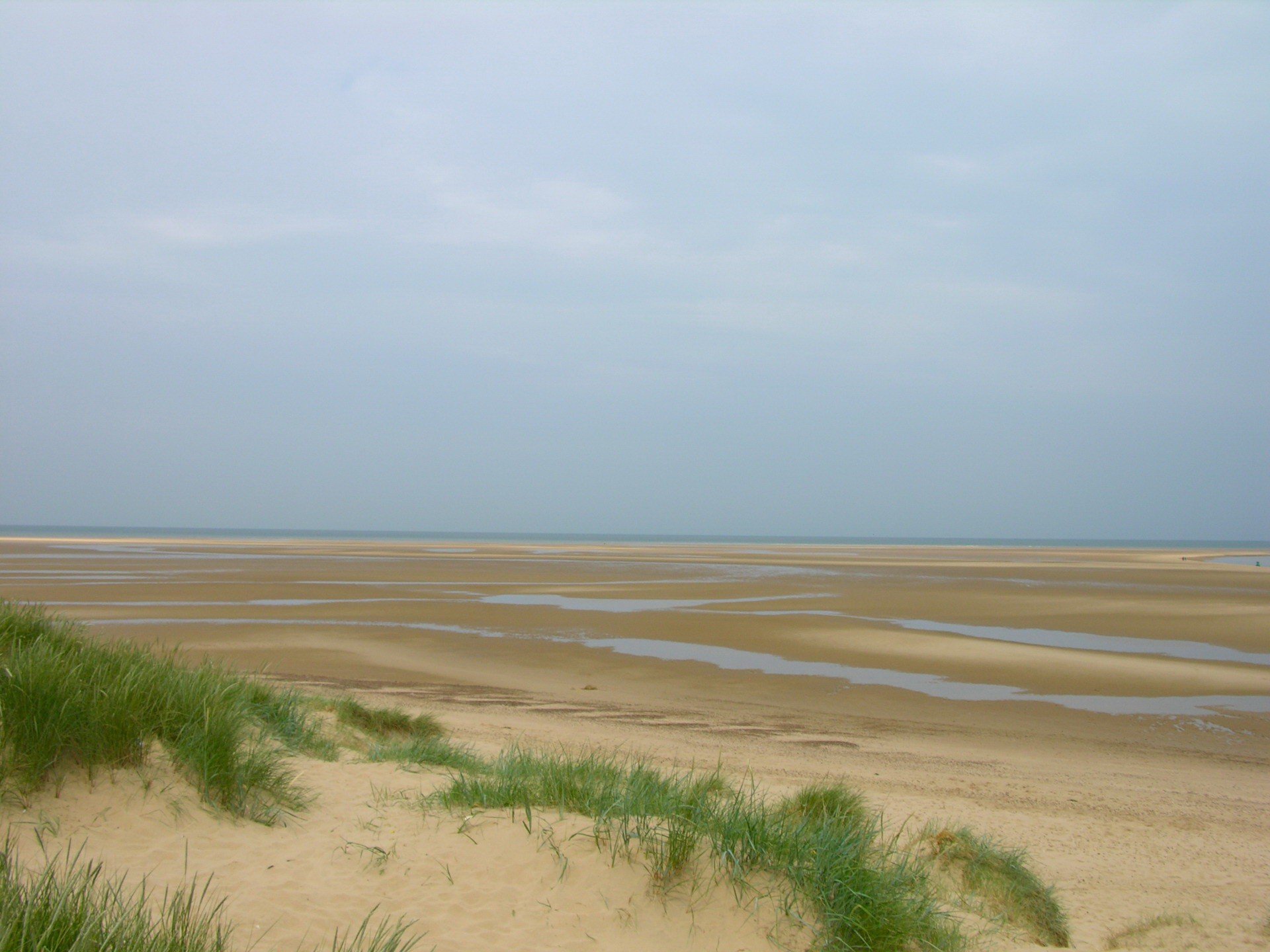 sable herbe marée basse