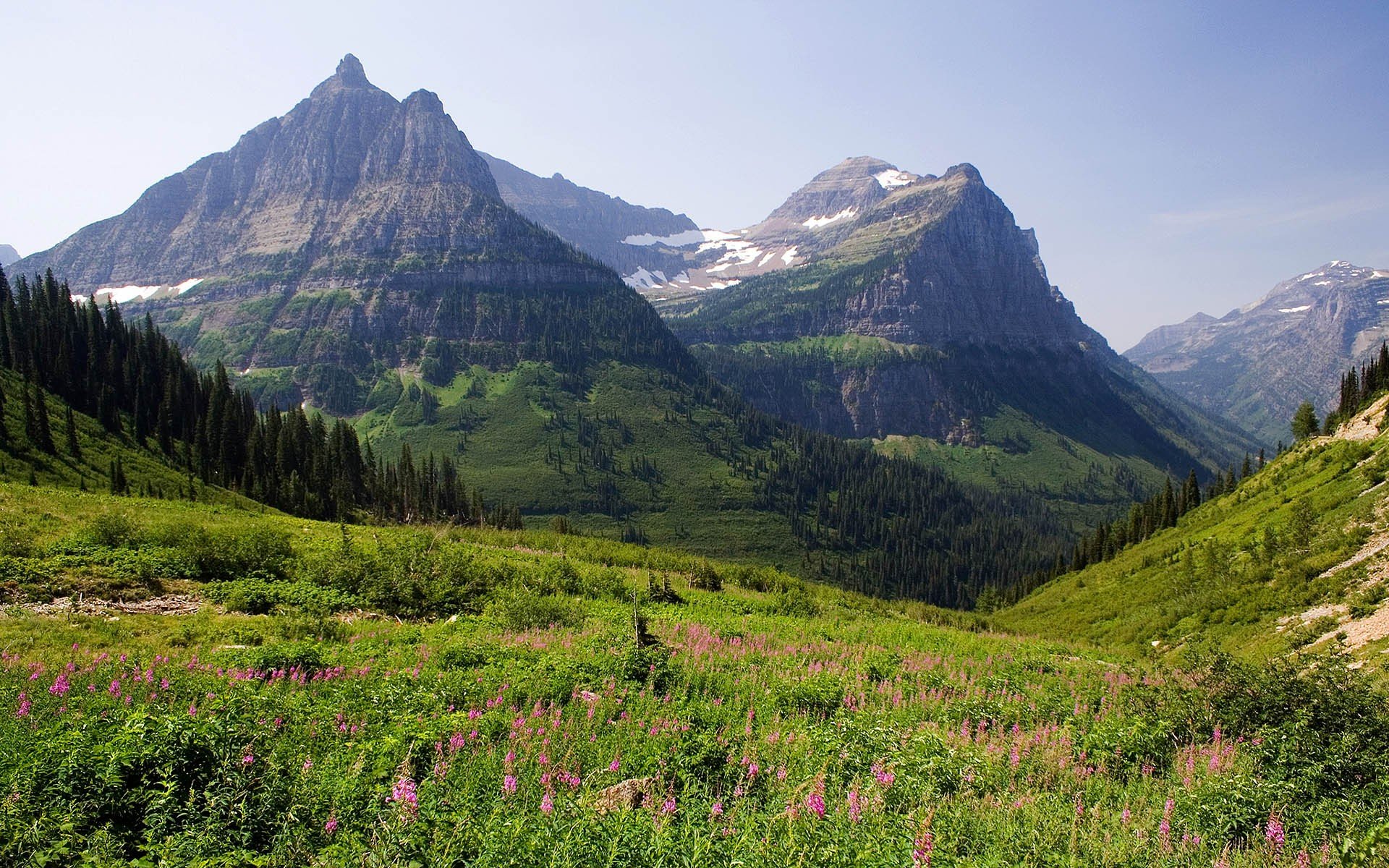 montagnes prairie forêt