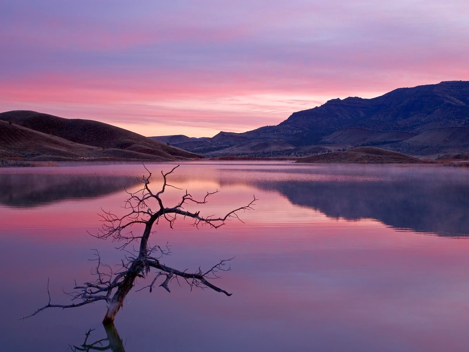 ramo lago colline riflessione