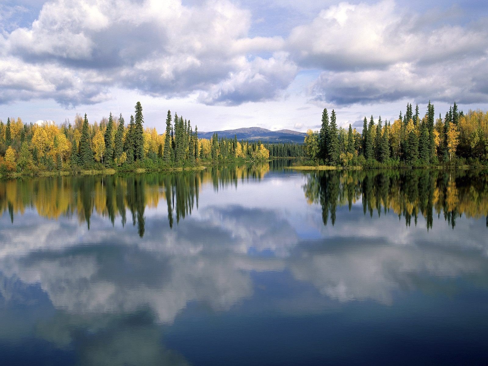 alberi riflessione lago