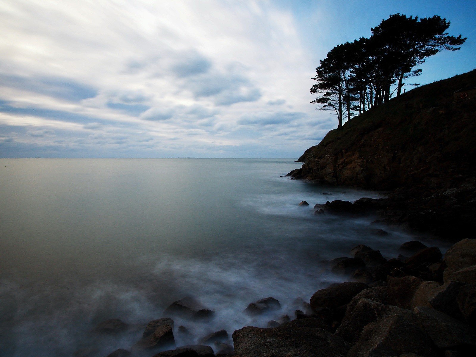 arbres pierres horizon