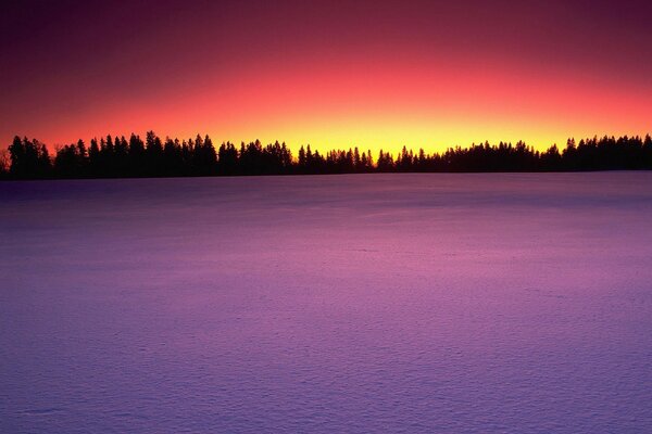 Beautiful picture of a sunset in winter