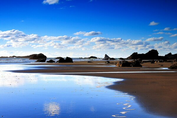 Beau paysage de bord de mer