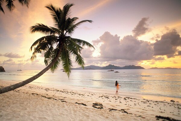 A palm tree and a girl on a Seychelles island