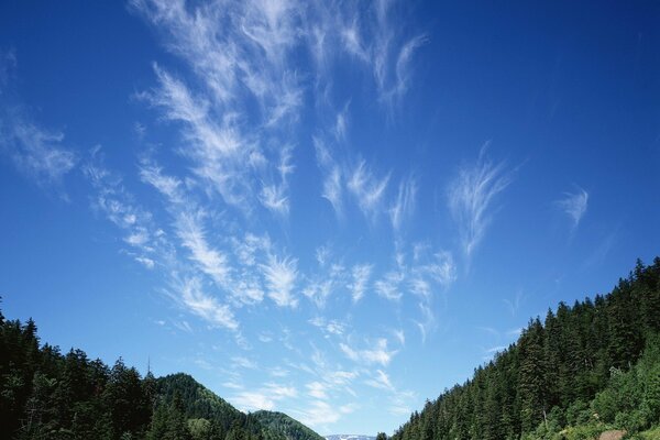 Dans le ciel au-dessus des forêts de petits nuages blancs comme neige