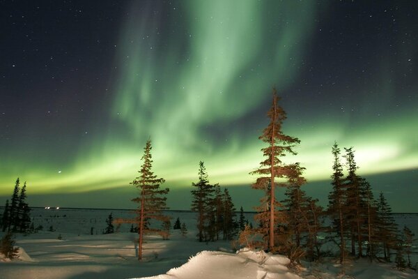 Noche mágica de invierno y Aurora boreal