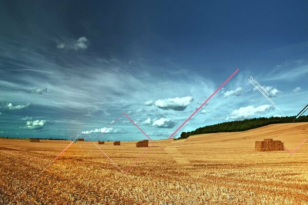 A harvest field on a blue sky background