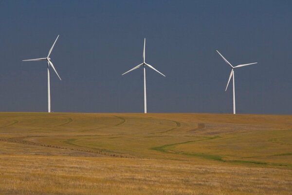 Dämmerung im Feld mit Windrädern