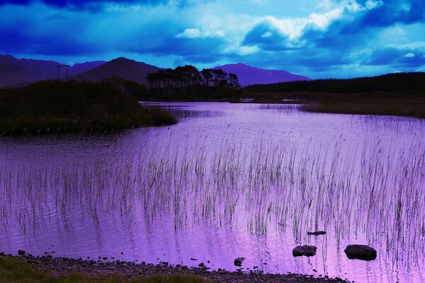 Lilac lake against the blue sky