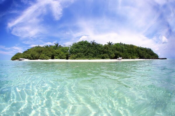 Urlaub auf einer tropischen Insel vor dem Hintergrund des Meeres