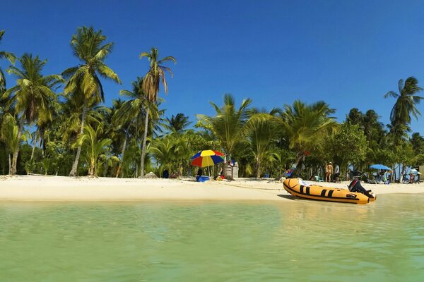 Wild vacation on an island with palm trees