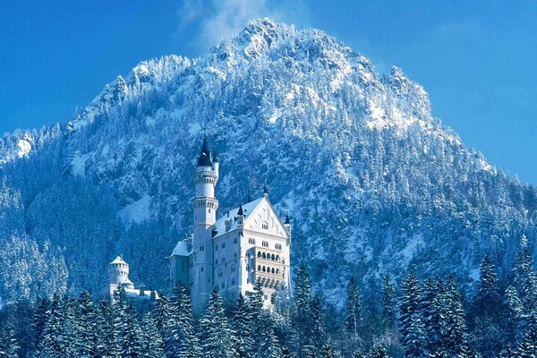 Winter coniferous forest frames a magnificent castle