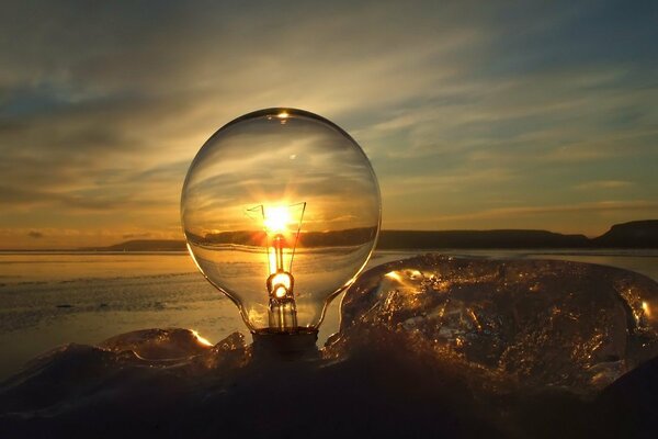 A light bulb in the sand on the shore at sunset