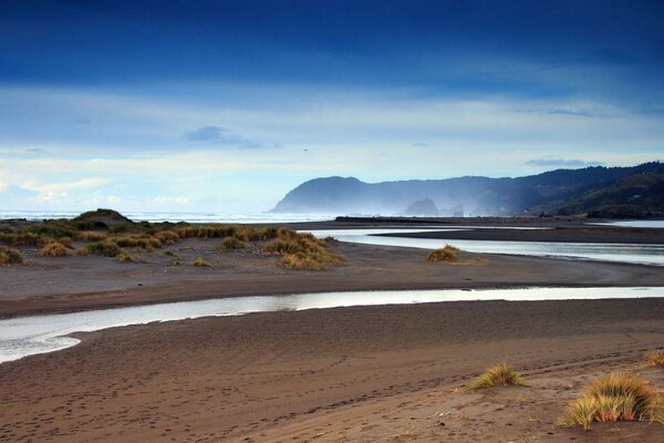 The mouth of the river among the sandy shore