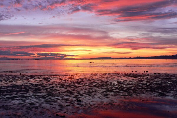 Orange-pink sunset on the sea