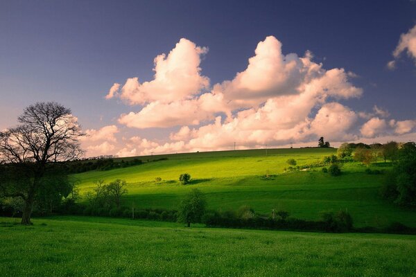 Cumulus clouds over green fields